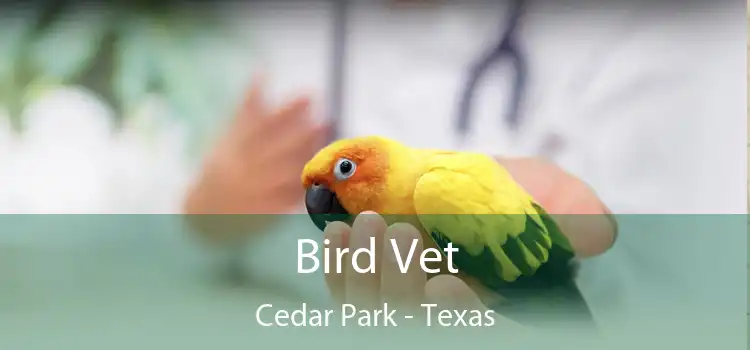 Bird Vet Cedar Park - Texas