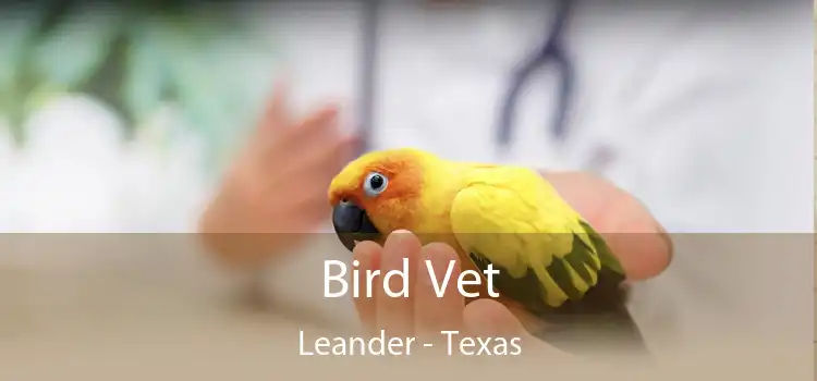 Bird Vet Leander - Texas