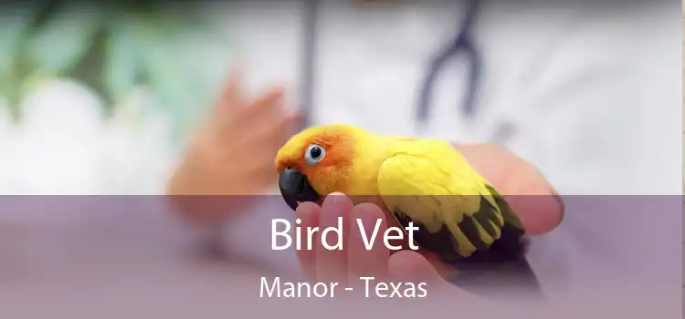 Bird Vet Manor - Texas