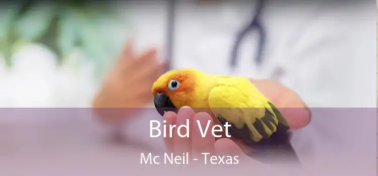 Bird Vet Mc Neil - Texas