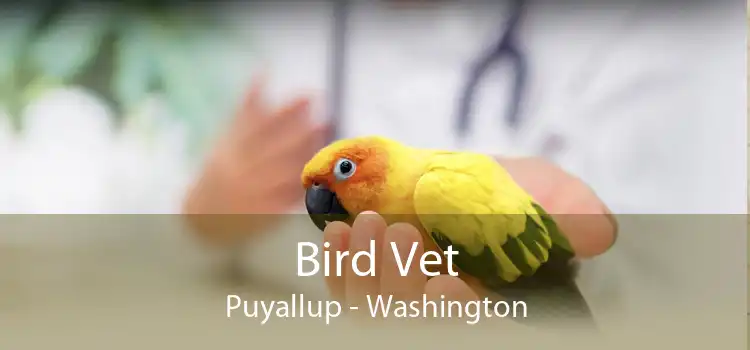 Bird Vet Puyallup - Washington