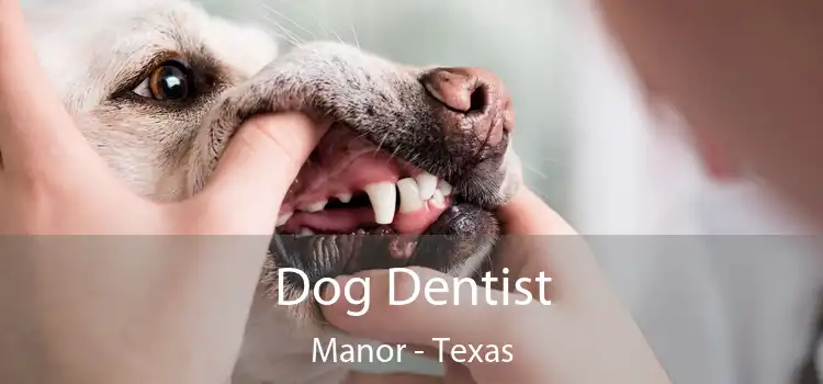 Dog Dentist Manor - Texas