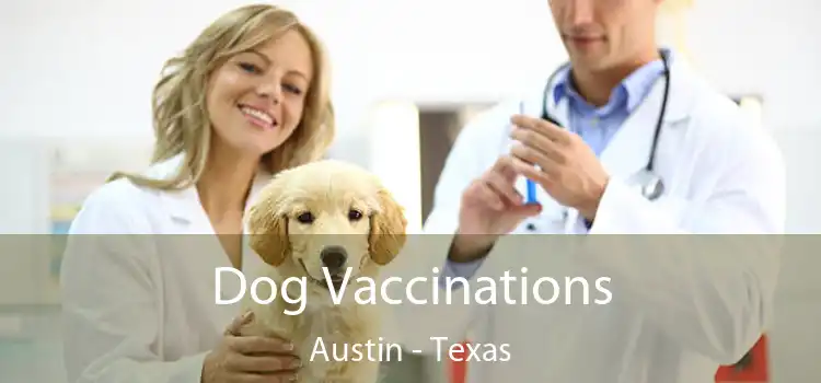 Dog Vaccinations Austin - Texas