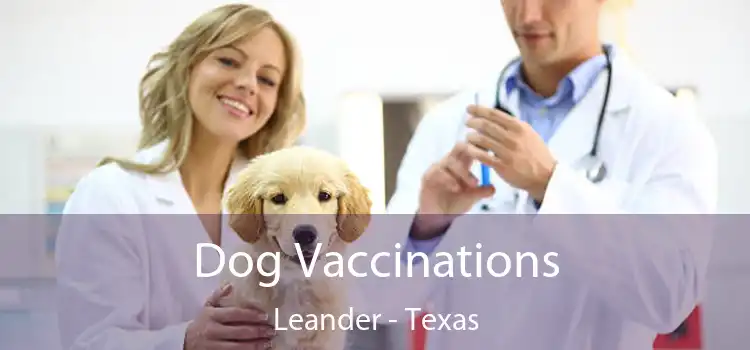 Dog Vaccinations Leander - Texas