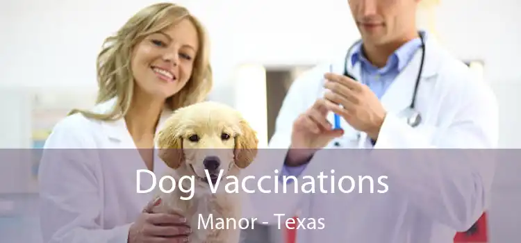 Dog Vaccinations Manor - Texas