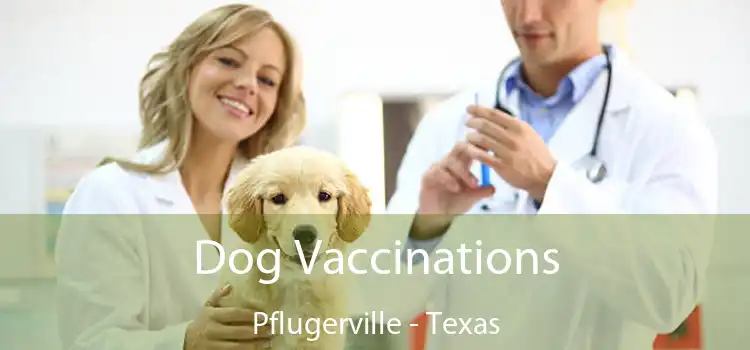 Dog Vaccinations Pflugerville - Texas