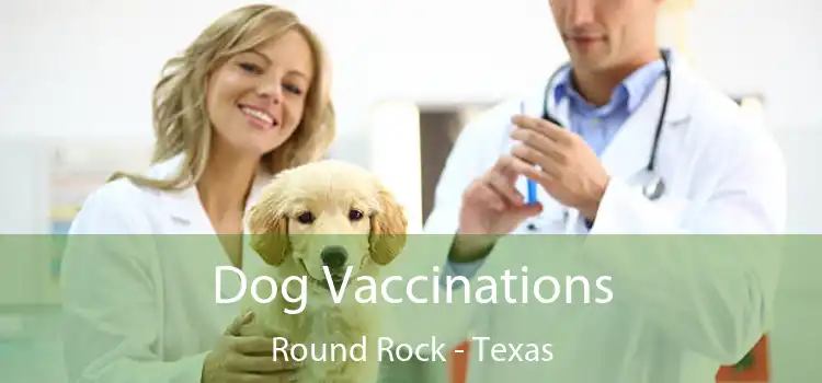 Dog Vaccinations Round Rock - Texas