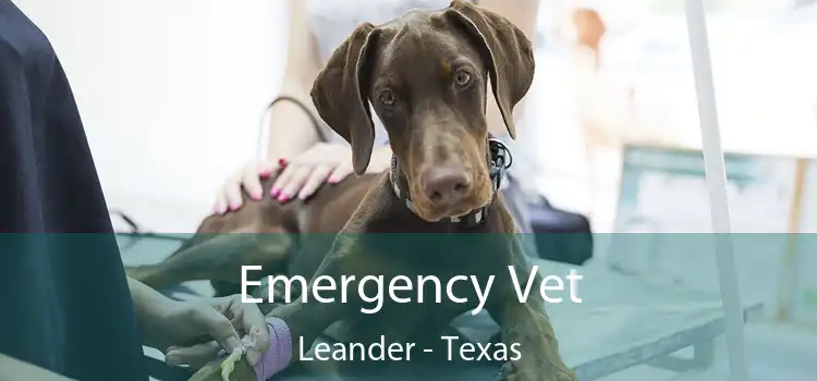 Emergency Vet Leander - Texas