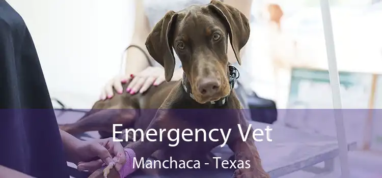 Emergency Vet Manchaca - Texas