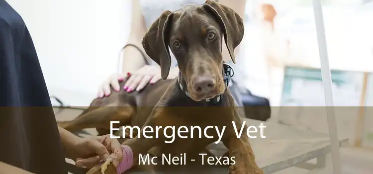 Emergency Vet Mc Neil - Texas