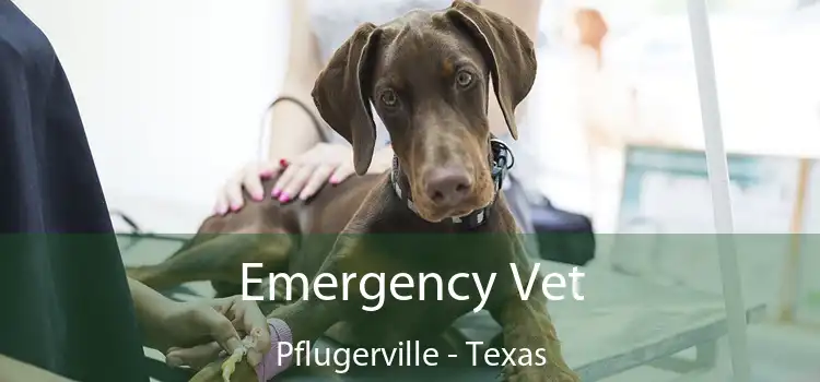 Emergency Vet Pflugerville - Texas