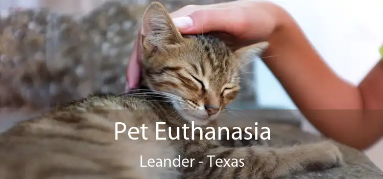 Pet Euthanasia Leander - Texas