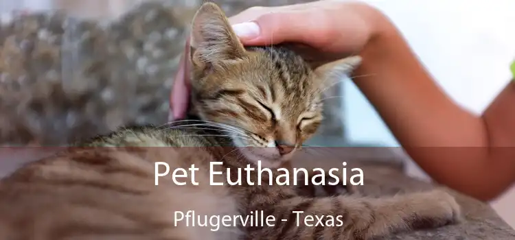 Pet Euthanasia Pflugerville - Texas