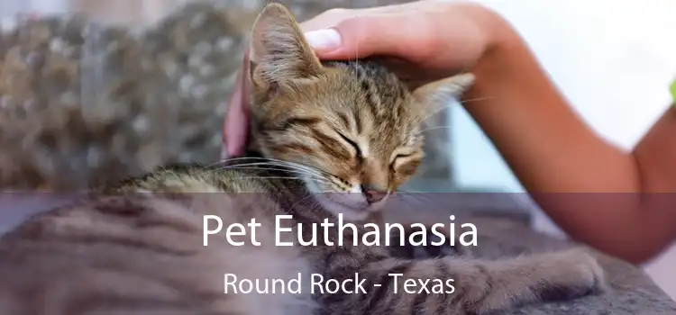 Pet Euthanasia Round Rock - Texas