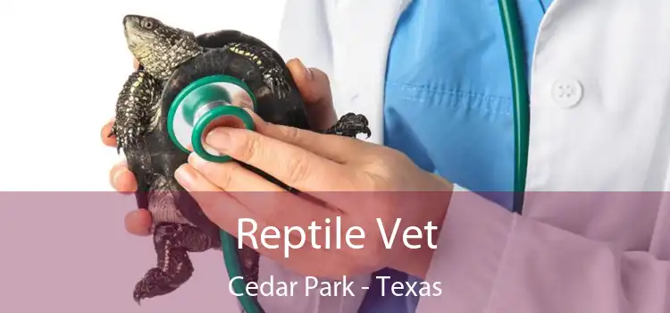 Reptile Vet Cedar Park - Texas