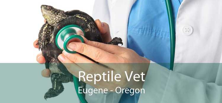 Reptile Vet Eugene - 24 Hour Reptile Vet Near Me