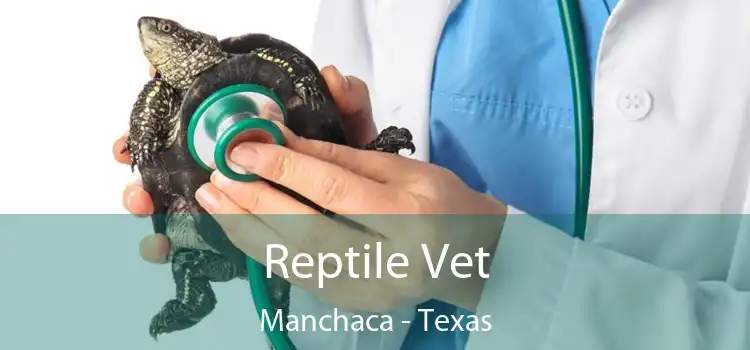 Reptile Vet Manchaca - Texas