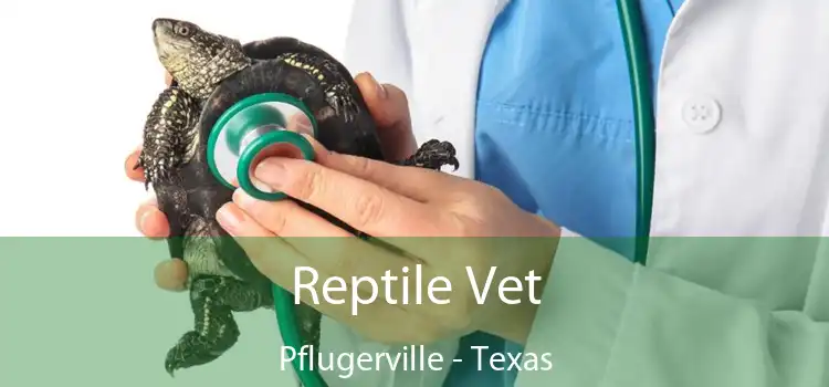 Reptile Vet Pflugerville - Texas