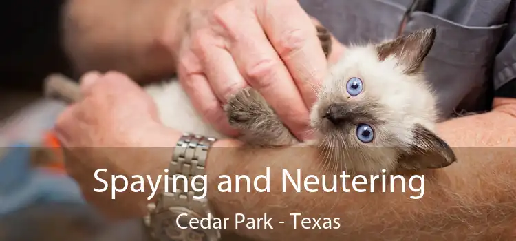 Spaying and Neutering Cedar Park - Texas