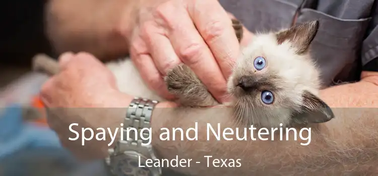 Spaying and Neutering Leander - Texas