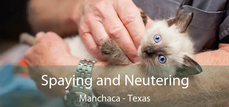 Spaying and Neutering Manchaca - Texas