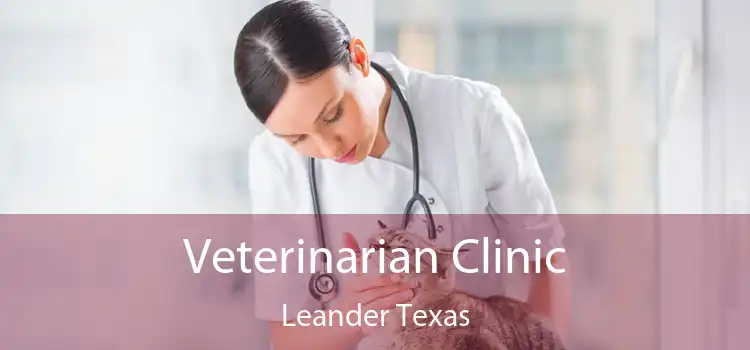 Veterinarian Clinic Leander Texas