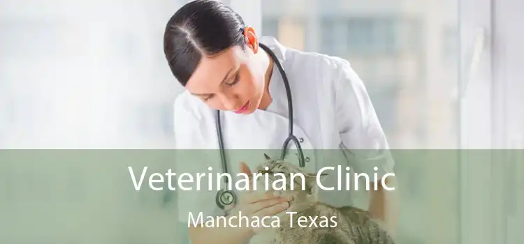 Veterinarian Clinic Manchaca Texas