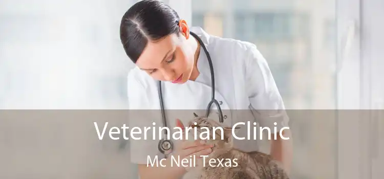 Veterinarian Clinic Mc Neil Texas