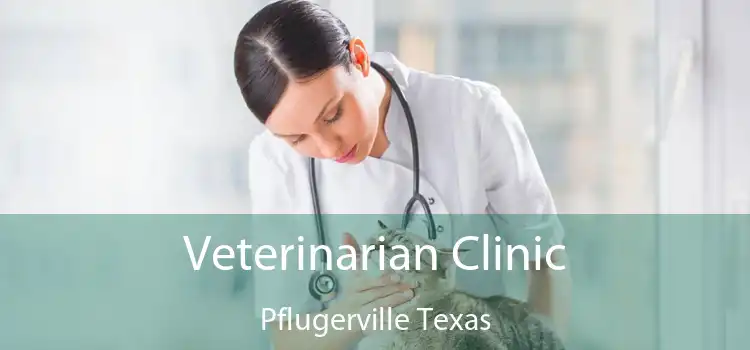 Veterinarian Clinic Pflugerville Texas