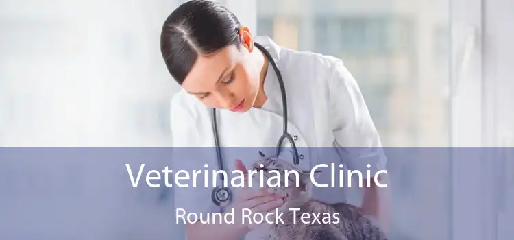 Veterinarian Clinic Round Rock Texas